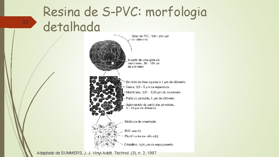 23 Resina de S-PVC: morfologia detalhada Adaptado de SUMMERS, J. J. Vinyl Addit. Technol.