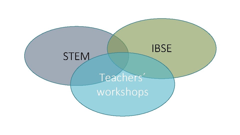 IBSE STEM Teachers Levels of Inquiry 1