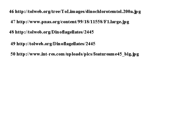 46 http: //tolweb. org/tree/To. Limages/dinochlorotemtol. 200 a. jpg 47 http: //www. pnas. org/content/99/18/11558/F 1.