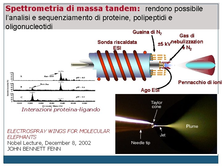 Spettrometria di massa tandem: rendono possibile l’analisi e sequenziamento di proteine, polipeptidi e oligonucleotidi
