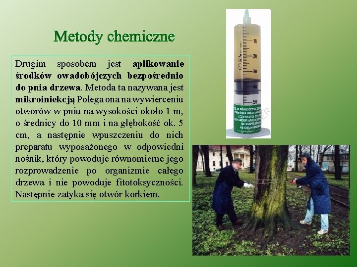 Metody chemiczne Drugim sposobem jest aplikowanie środków owadobójczych bezpośrednio do pnia drzewa. Metoda ta