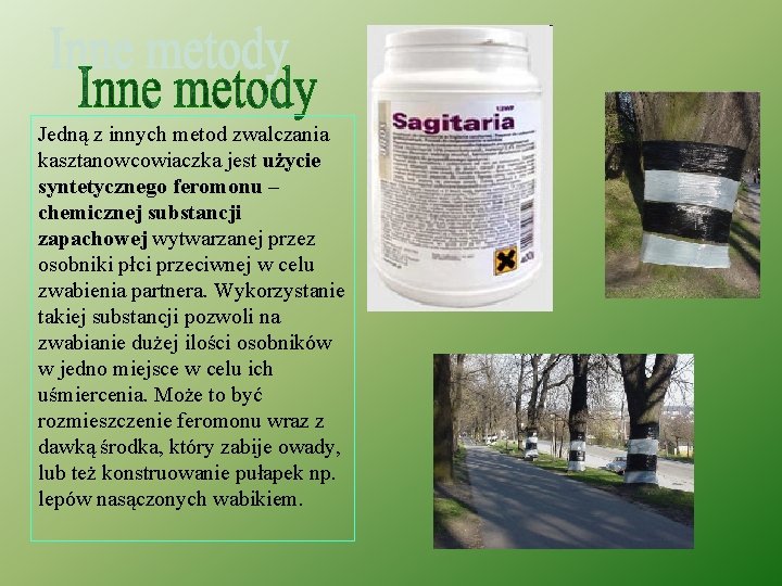 Jedną z innych metod zwalczania kasztanowcowiaczka jest użycie syntetycznego feromonu – chemicznej substancji zapachowej