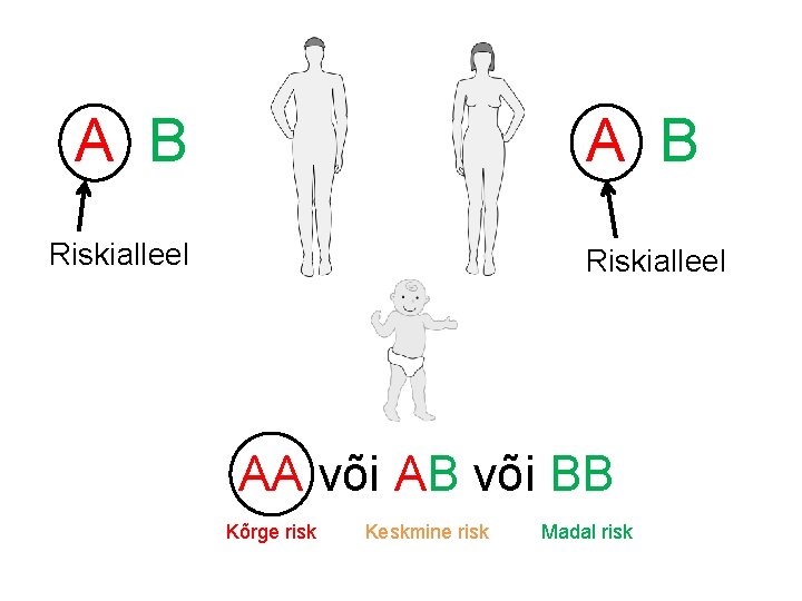 A B Riskialleel AA või AB või BB Kõrge risk Keskmine risk Madal risk