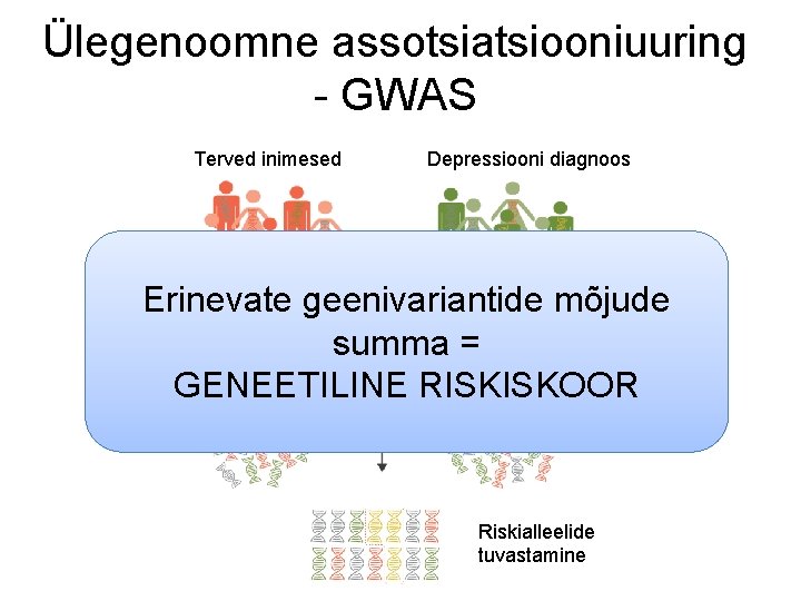 Ülegenoomne assotsiatsiooniuuring - GWAS Terved inimesed Depressiooni diagnoos Erinevate geenivariantide mõjude summa = Geneetilise