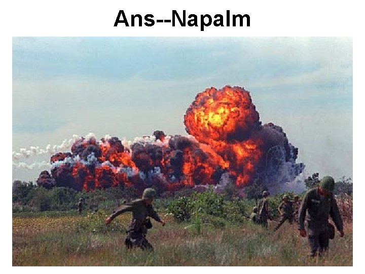 Ans--Napalm Ans--Napalm