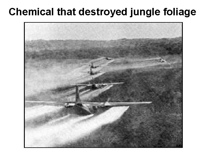 Chemical that destroyed jungle foliage Chemical that destroyed jungle foliage