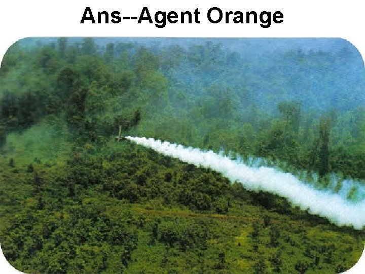Ans--Agent Orange Ans--Agent Orange