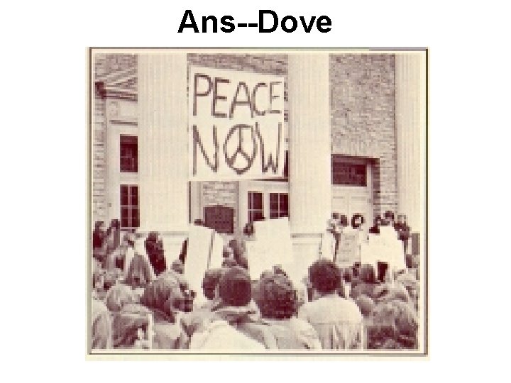 Ans--Dove Ans--Dove