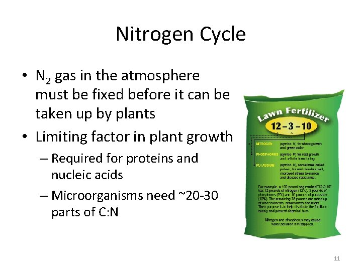 Nitrogen Cycle • N 2 gas in the atmosphere must be fixed before it