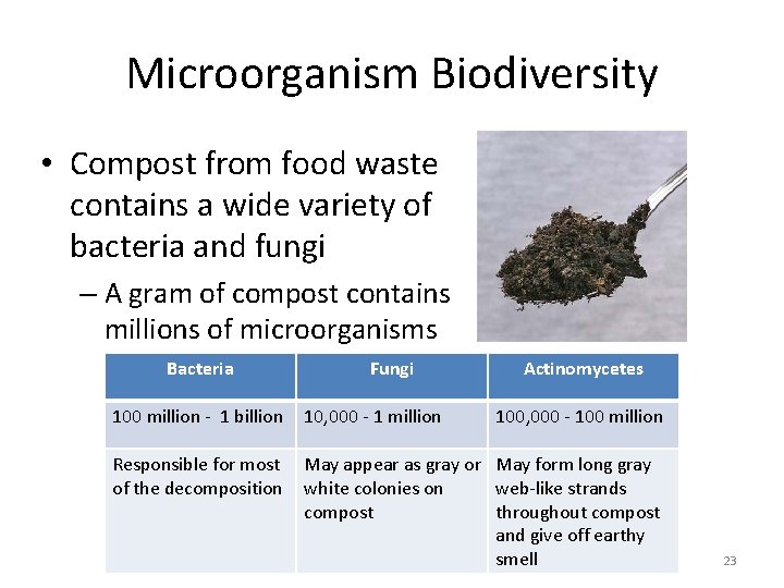 Microorganism Biodiversity • Compost from food waste contains a wide variety of bacteria and