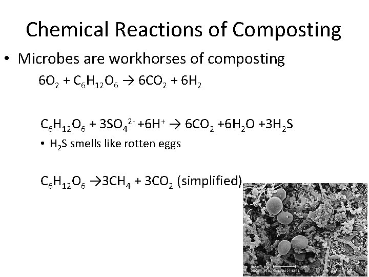 Chemical Reactions of Composting • Microbes are workhorses of composting 6 O 2 +