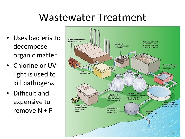 Wastewater Treatment • Uses bacteria to decompose organic matter • Chlorine or UV light