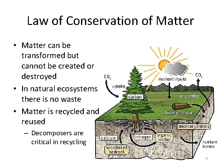 Law of Conservation of Matter • Matter can be transformed but cannot be created