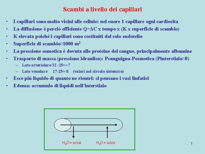 Scambi a livello dei capillari • • • I capillari sono molto vicini alle