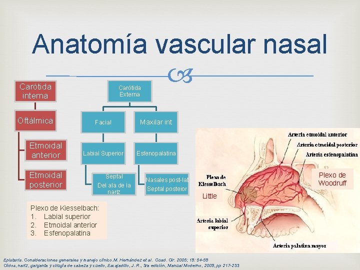 Anatomía vascular nasal Carótida interna Oftálmica Etmoidal anterior Etmoidal posterior Carótida Externa Facial Maxilar