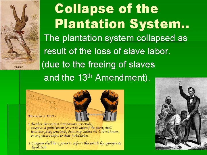 Collapse of the Plantation System. . The plantation system collapsed as result of the