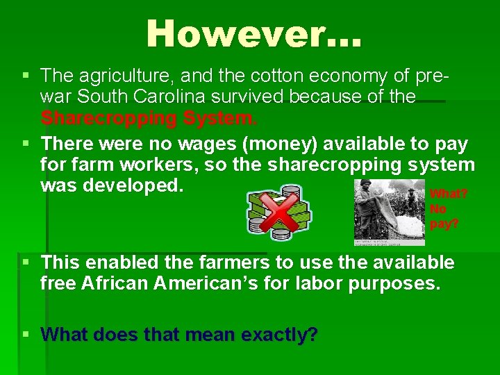 However… § The agriculture, and the cotton economy of prewar South Carolina survived because