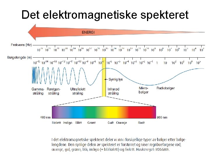 Det elektromagnetiske spekteret 