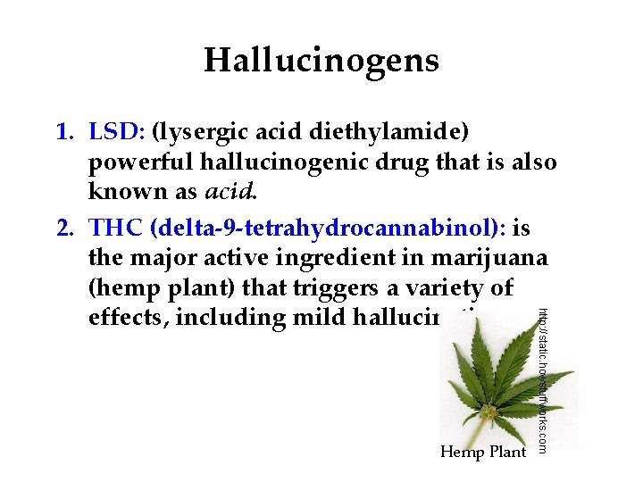 Hallucinogens Hemp Plant http: //static. howstuffworks. com 1. LSD: (lysergic acid diethylamide) powerful hallucinogenic