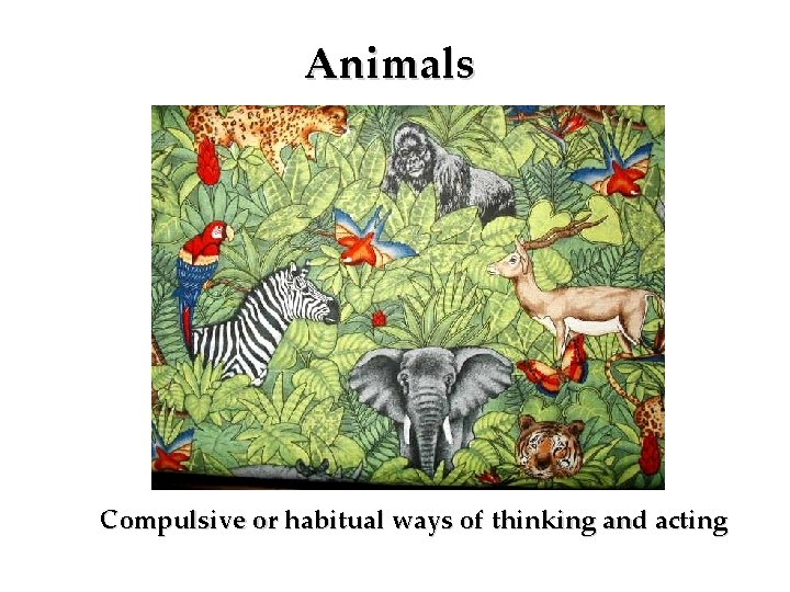 Animals Compulsive or habitual ways of thinking and acting 