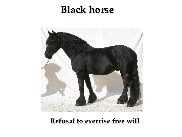 Black horse Refusal to exercise free will 