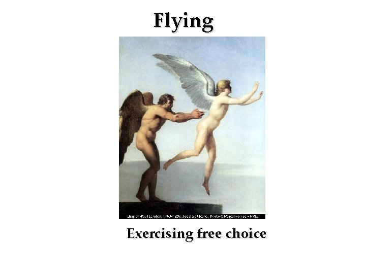 Flying Exercising free choice 