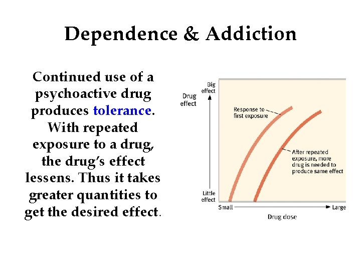Dependence & Addiction Continued use of a psychoactive drug produces tolerance. With repeated exposure