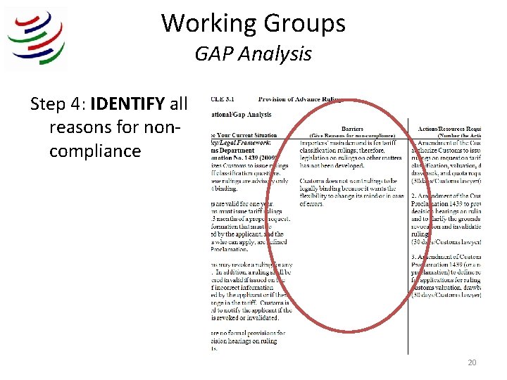 Working Groups GAP Analysis Step 4: IDENTIFY all reasons for noncompliance 20 