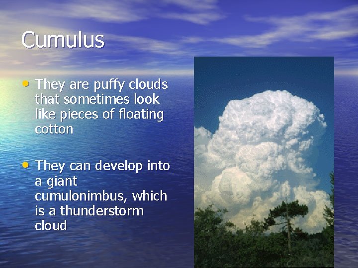Cumulus • They are puffy clouds that sometimes look like pieces of floating cotton Cumulus • They are puffy clouds that sometimes look like pieces of floating cotton