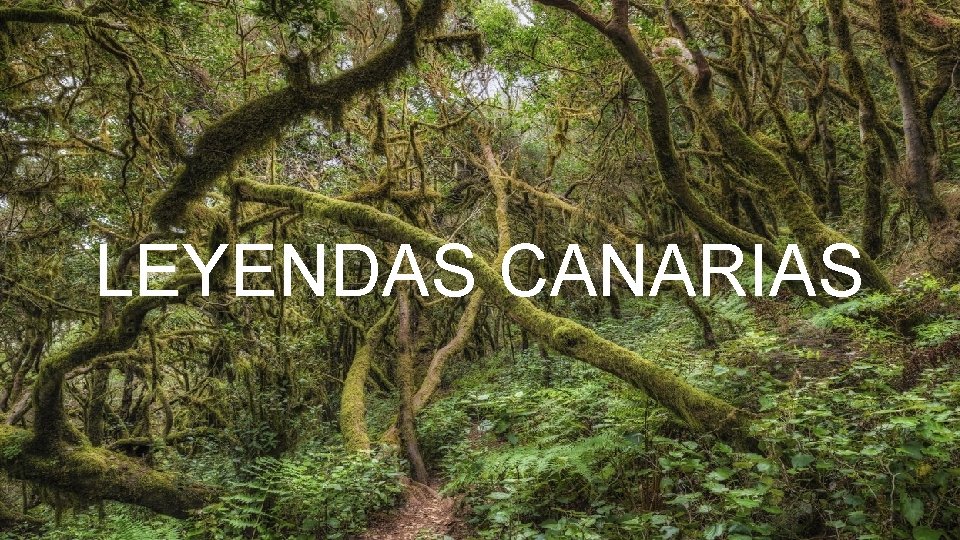 LEYENDAS CANARIAS 