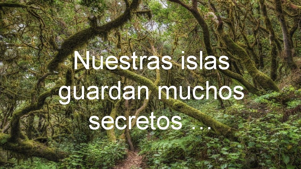 Nuestras islas guardan muchos secretos … 