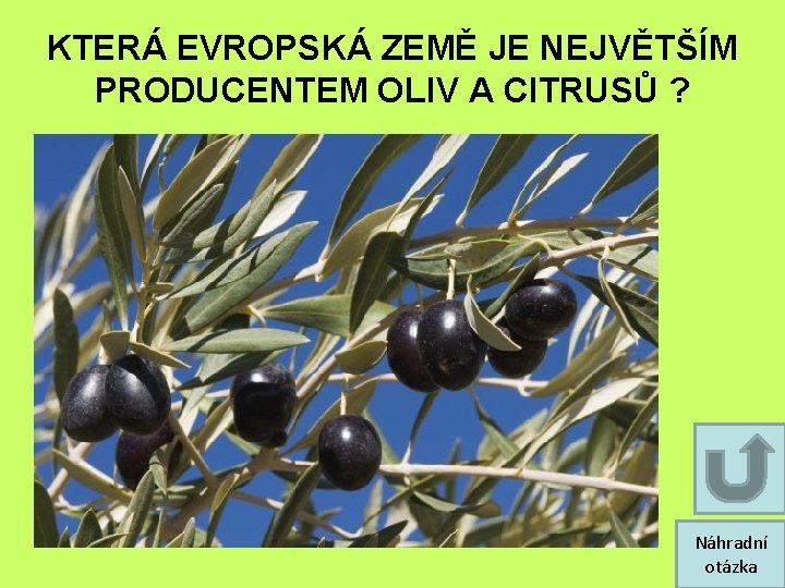 KTERÁ EVROPSKÁ ZEMĚ JE NEJVĚTŠÍM PRODUCENTEM OLIV A CITRUSŮ ? Náhradní otázka KTERÁ EVROPSKÁ ZEMĚ JE NEJVĚTŠÍM PRODUCENTEM OLIV A CITRUSŮ ? Náhradní otázka