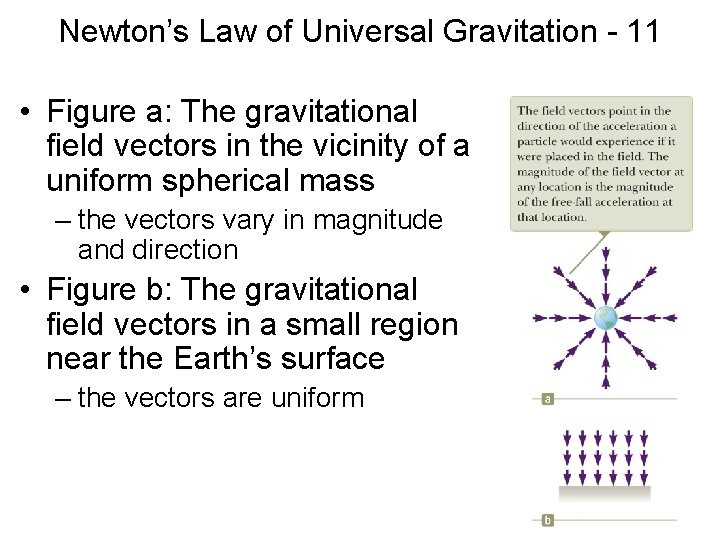 Newton’s Law of Universal Gravitation - 11 • Figure a: The gravitational field vectors