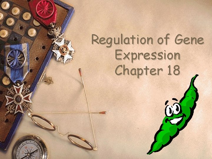 Regulation of Gene Expression Chapter 18 