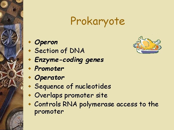 Prokaryote w w w w Operon Section of DNA Enzyme-coding genes Promoter Operator Sequence