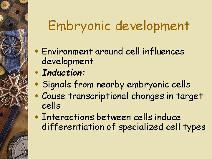 Embryonic development w Environment around cell influences development w Induction: w Signals from nearby
