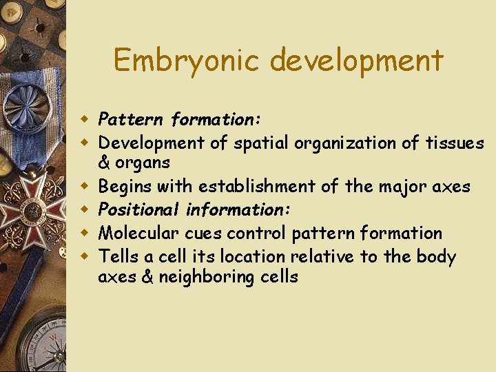 Embryonic development w Pattern formation: w Development of spatial organization of tissues & organs