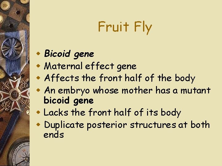 Fruit Fly Bicoid gene Maternal effect gene Affects the front half of the body