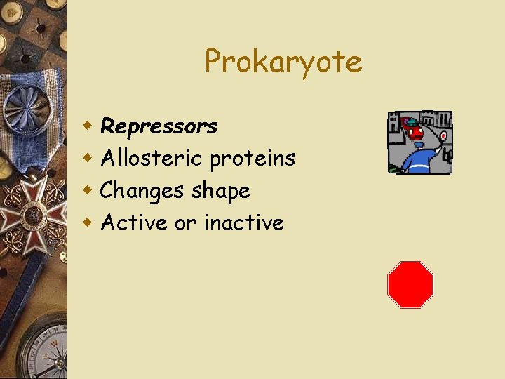 Prokaryote w Repressors w Allosteric proteins w Changes shape w Active or inactive 