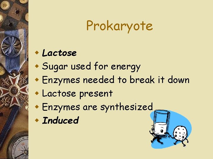 Prokaryote w Lactose w Sugar used for energy w Enzymes needed to break it