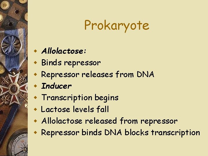 Prokaryote w w w w Allolactose: Binds repressor Repressor releases from DNA Inducer Transcription