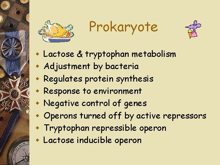 Prokaryote w w w w Lactose & tryptophan metabolism Adjustment by bacteria Regulates protein
