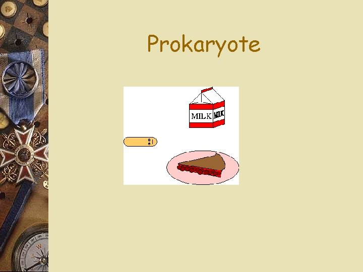 Prokaryote 