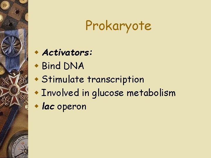Prokaryote w Activators: w Bind DNA w Stimulate transcription w Involved in glucose metabolism