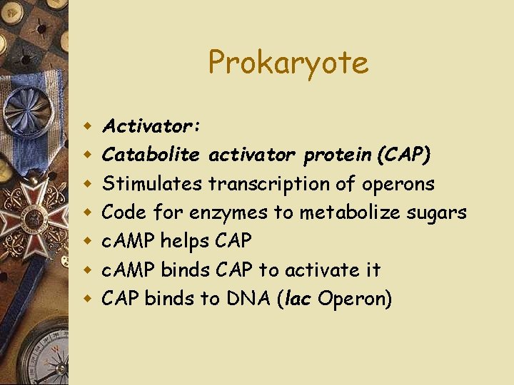 Prokaryote w w w w Activator: Catabolite activator protein (CAP) Stimulates transcription of operons