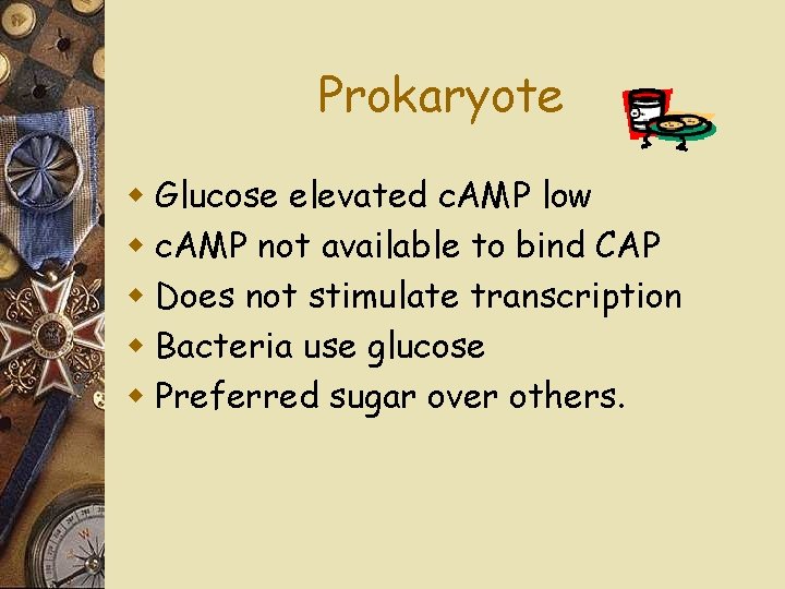 Prokaryote w Glucose elevated c. AMP low w c. AMP not available to bind