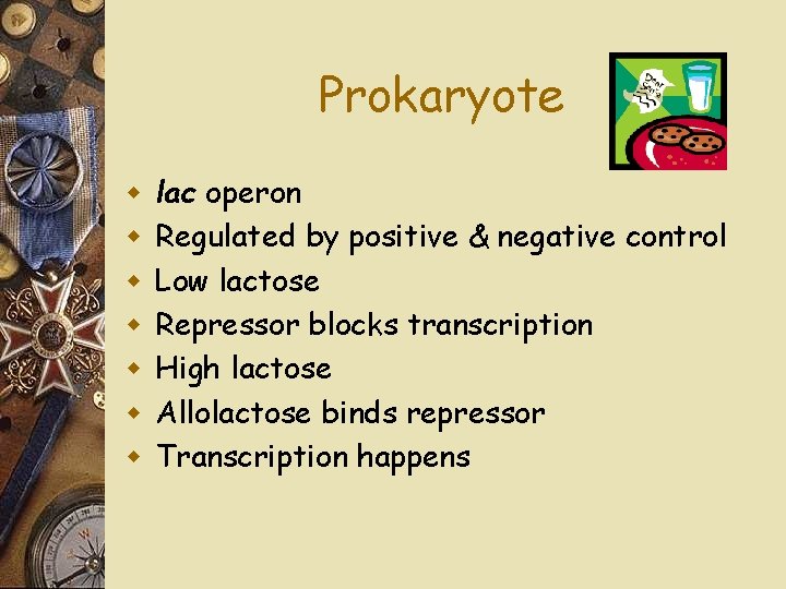 Prokaryote w w w w lac operon Regulated by positive & negative control Low