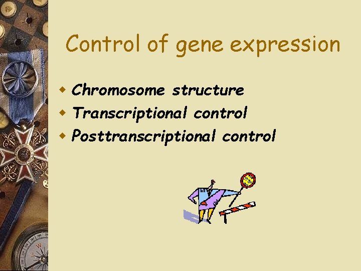 Control of gene expression w Chromosome structure w Transcriptional control w Posttranscriptional control 