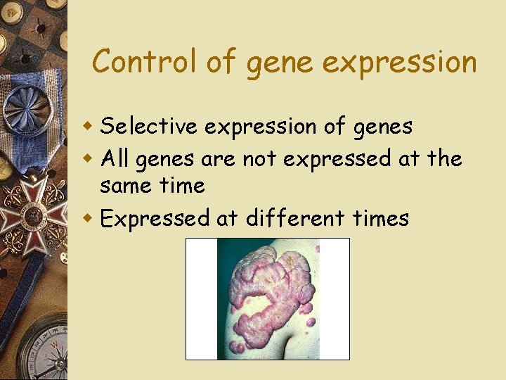 Control of gene expression w Selective expression of genes w All genes are not