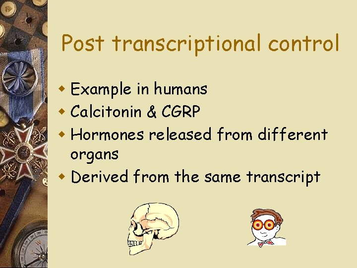 Post transcriptional control w Example in humans w Calcitonin & CGRP w Hormones released